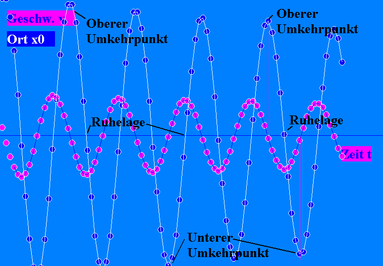 Sonarmeter: x und v bei der harmonischen Schwingung